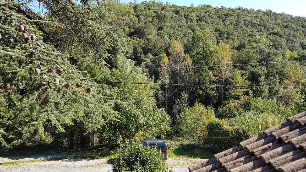 Le Clos Du Cedre Saint Sebastien d'Aigrefeuille Dış mekan fotoğraf