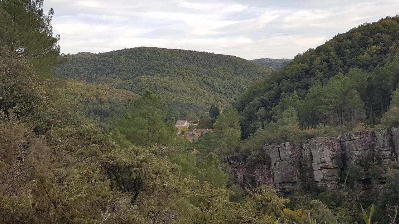 Le Clos Du Cedre Saint Sebastien d'Aigrefeuille Dış mekan fotoğraf