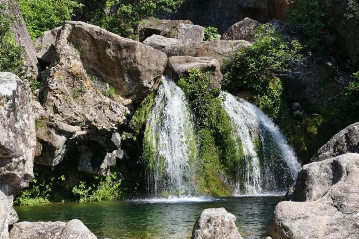 Le Clos Du Cedre Saint Sebastien d'Aigrefeuille Dış mekan fotoğraf