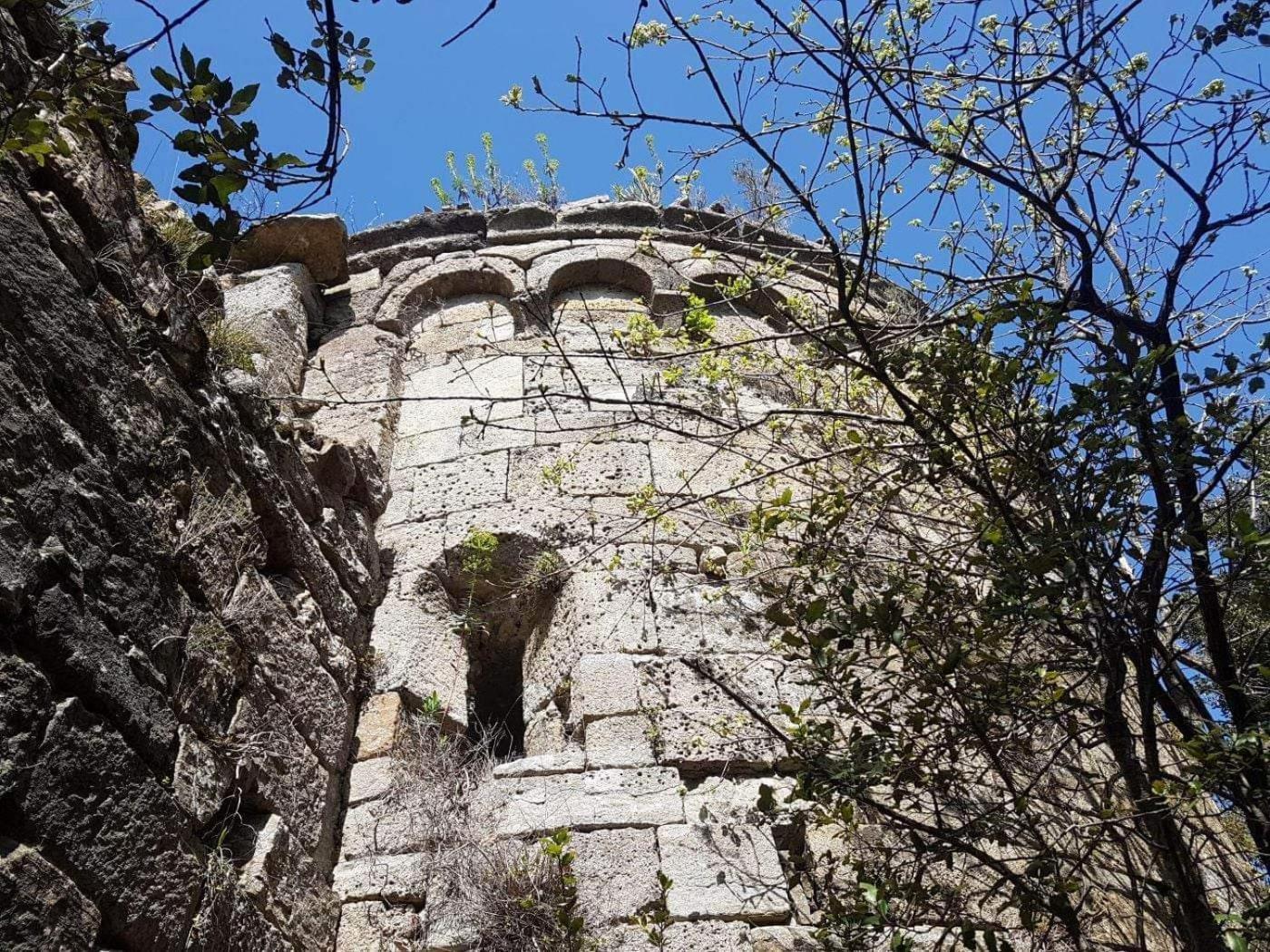 Le Clos Du Cedre Saint Sebastien d'Aigrefeuille Dış mekan fotoğraf