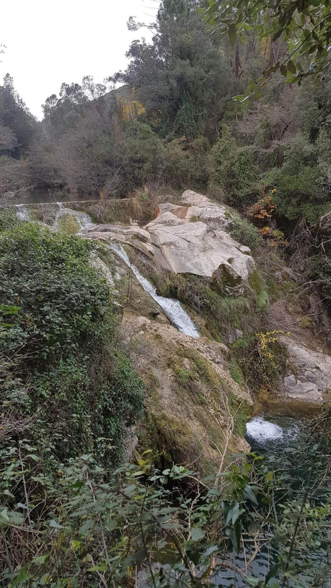 Le Clos Du Cedre Saint Sebastien d'Aigrefeuille Dış mekan fotoğraf
