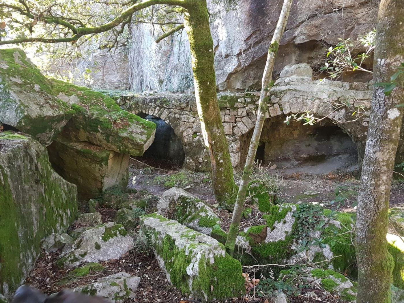 Le Clos Du Cedre Saint Sebastien d'Aigrefeuille Dış mekan fotoğraf