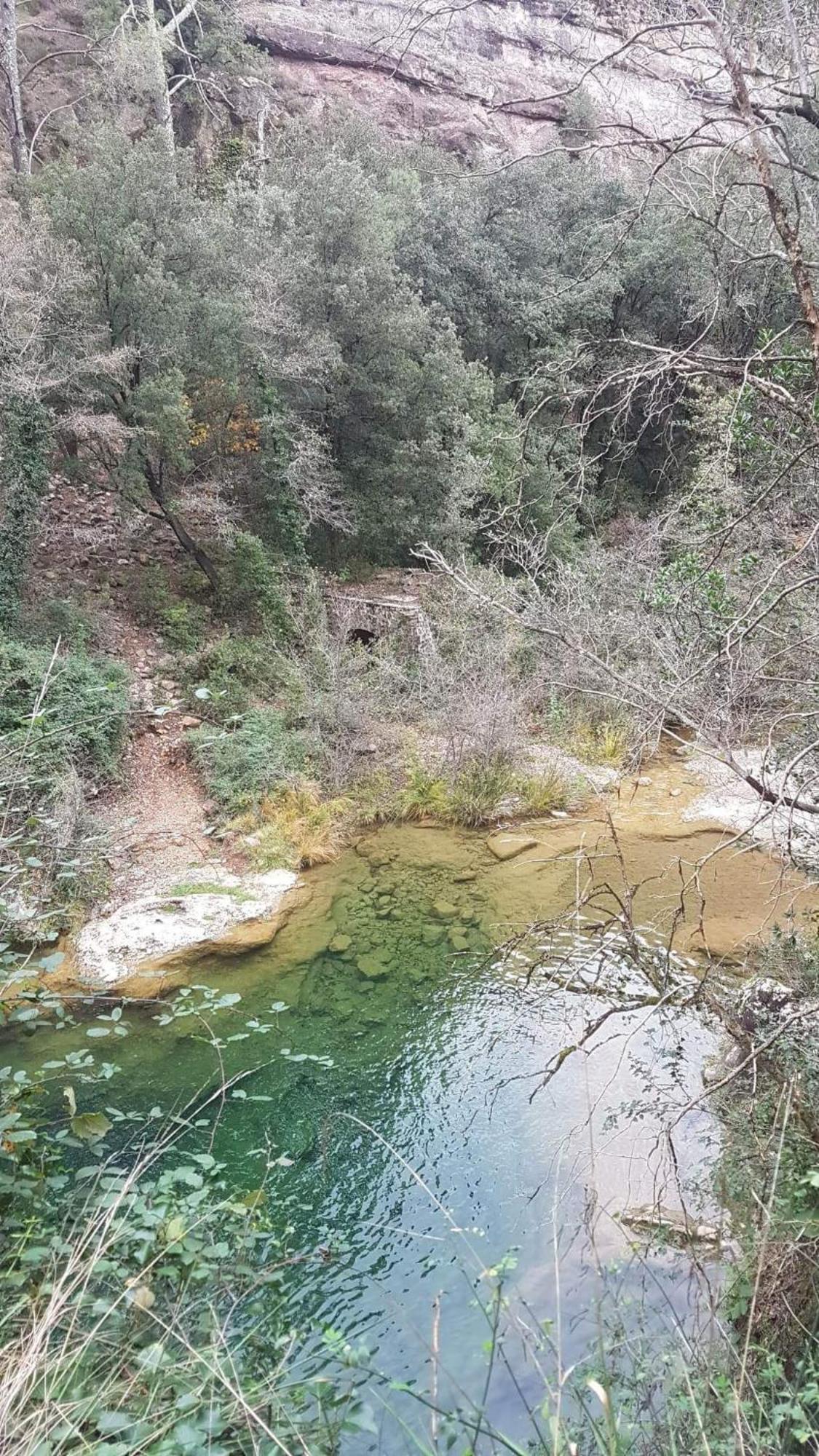 Le Clos Du Cedre Saint Sebastien d'Aigrefeuille Dış mekan fotoğraf