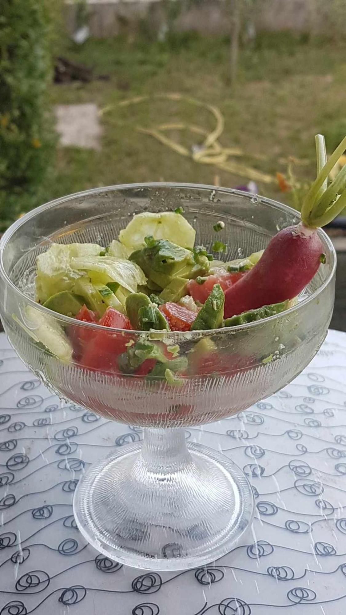 Le Clos Du Cedre Saint Sebastien d'Aigrefeuille Dış mekan fotoğraf